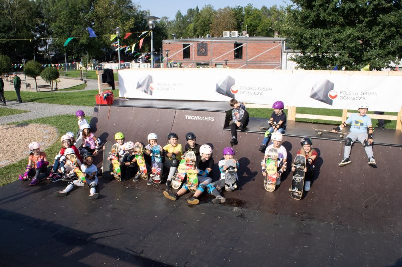 Consulta skatepark