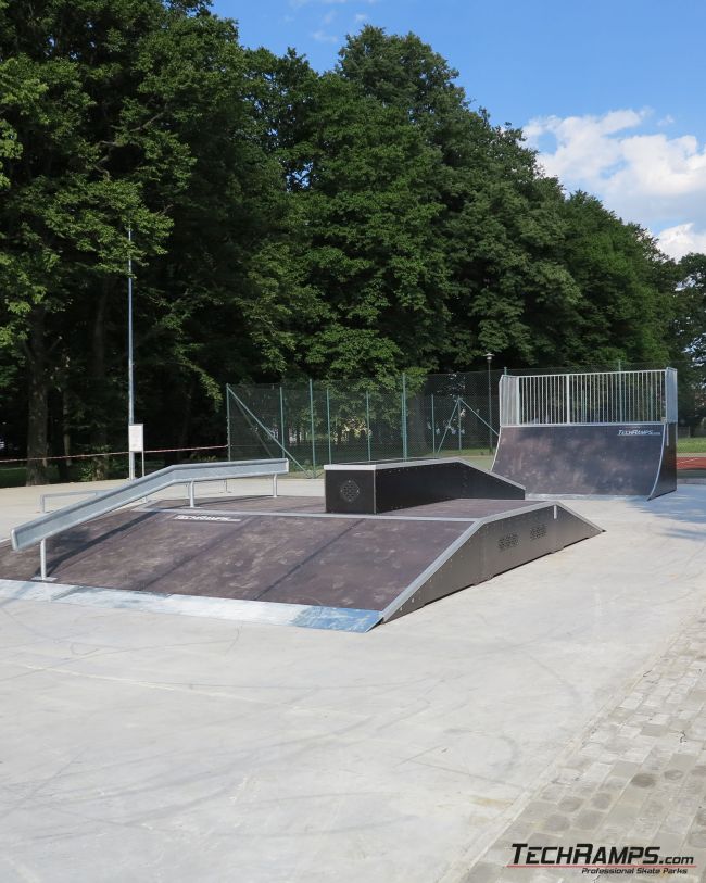 Skatepark Rymanów 