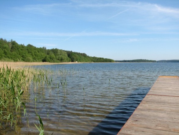 Skatepark w Złocieńcu 